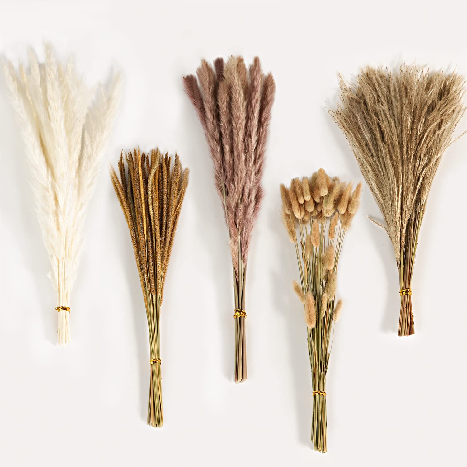 Autumn Vintage Mixed Dried Flo - Pampas Grass Decor review and price