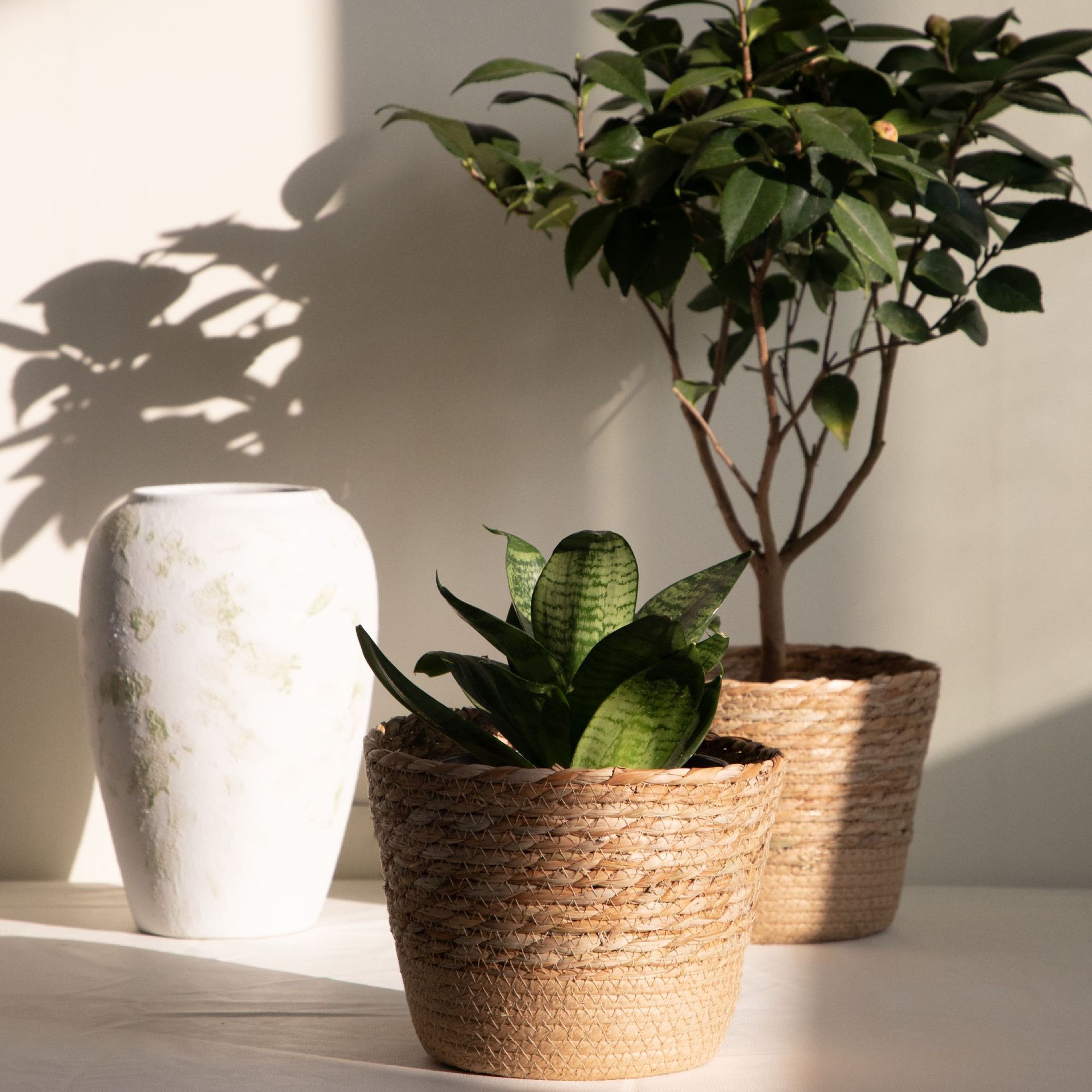 Multi-purpose Woven Storage Ba - Rattan Plant Basket review and price