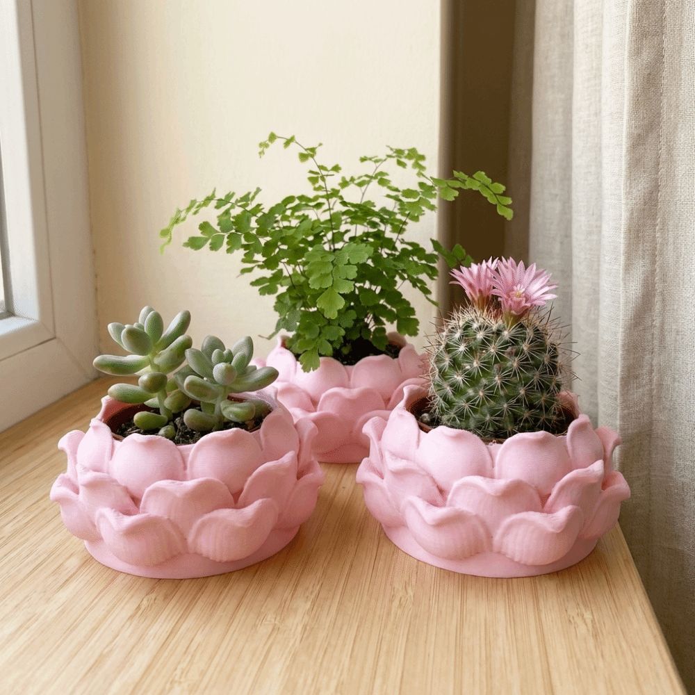 Lotus Shaped Succulent Plant P - Rattan Plant Basket review and price