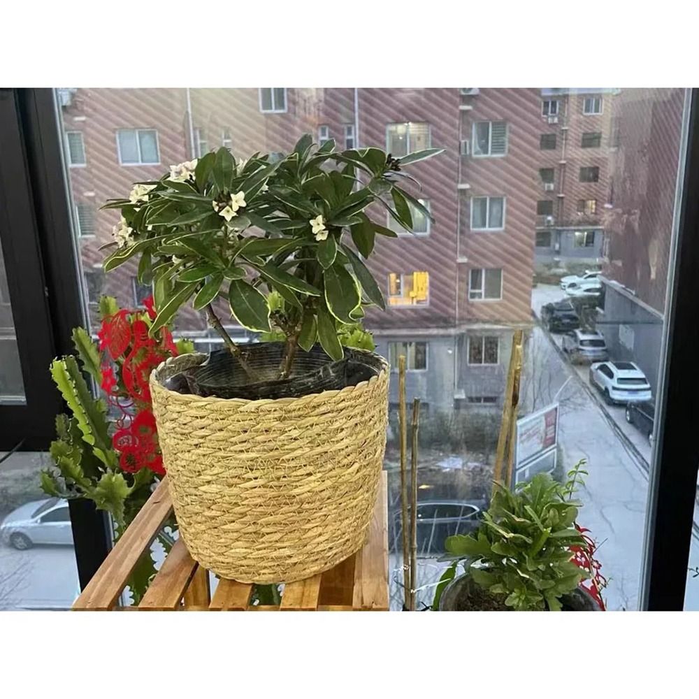 1Pcs For Garden Terraces Flowe - Rattan Plant Basket review and price